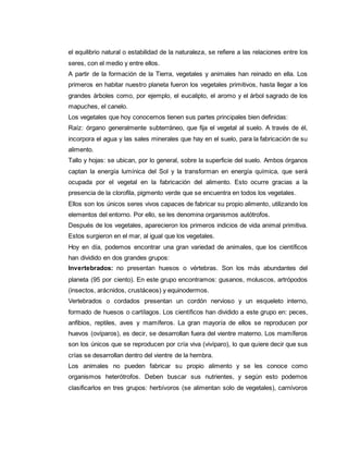 el equilibrio natural o estabilidad de la naturaleza, se refiere a las relaciones entre los
seres, con el medio y entre ellos.
A partir de la formación de la Tierra, vegetales y animales han reinado en ella. Los
primeros en habitar nuestro planeta fueron los vegetales primitivos, hasta llegar a los
grandes árboles como, por ejemplo, el eucalipto, el aromo y el árbol sagrado de los
mapuches, el canelo.
Los vegetales que hoy conocemos tienen sus partes principales bien definidas:
Raíz: órgano generalmente subterráneo, que fija el vegetal al suelo. A través de él,
incorpora el agua y las sales minerales que hay en el suelo, para la fabricación de su
alimento.
Tallo y hojas: se ubican, por lo general, sobre la superficie del suelo. Ambos órganos
captan la energía lumínica del Sol y la transforman en energía química, que será
ocupada por el vegetal en la fabricación del alimento. Esto ocurre gracias a la
presencia de la clorofila, pigmento verde que se encuentra en todos los vegetales.
Ellos son los únicos seres vivos capaces de fabricar su propio alimento, utilizando los
elementos del entorno. Por ello, se les denomina organismos autótrofos.
Después de los vegetales, aparecieron los primeros indicios de vida animal primitiva.
Estos surgieron en el mar, al igual que los vegetales.
Hoy en día, podemos encontrar una gran variedad de animales, que los científicos
han dividido en dos grandes grupos:
Invertebrados: no presentan huesos o vértebras. Son los más abundantes del
planeta (95 por ciento). En este grupo encontramos: gusanos, moluscos, artrópodos
(insectos, arácnidos, crustáceos) y equinodermos.
Vertebrados o cordados presentan un cordón nervioso y un esqueleto interno,
formado de huesos o cartílagos. Los científicos han dividido a este grupo en: peces,
anfibios, reptiles, aves y mamíferos. La gran mayoría de ellos se reproducen por
huevos (ovíparos), es decir, se desarrollan fuera del vientre materno. Los mamíferos
son los únicos que se reproducen por cría viva (vivíparo), lo que quiere decir que sus
crías se desarrollan dentro del vientre de la hembra.
Los animales no pueden fabricar su propio alimento y se les conoce como
organismos heterótrofos. Deben buscar sus nutrientes, y según esto podemos
clasificarlos en tres grupos: herbívoros (se alimentan solo de vegetales), carnívoros
 
