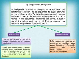 A) Adaptación e inteligencia
La inteligencia consistirá en la capacidad de mantener una
constante adaptación de los esquemas del sujeto al mundo
en que se desenvuelve. Se trata de una capacidad común a
los seres humanos de mantener un concordancia entre el
mundo y los esquemas cognitivos del sujeto, lo cual le
permitirá al sujeto funcionar en el. Esta se produce por
medio de dos procesos complementarios…
Asimilación Acomodación
Este proceso consiste en incorporar
nuevas información en un esquema
preexistente
Cuando un sujeto se enfrenta con una
situación nueva, el trata de manejarla
en base a los esquemas que ya posee
y que parezca apropiados para esa
situación.
Este proceso curre cuando un
esquema se modifica para
poder incorporar información
nueva, que seria
incomprensible con los
esquemas anteriores.
 