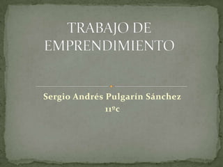 Sergio Andrés Pulgarín Sánchez
              11ºc
 