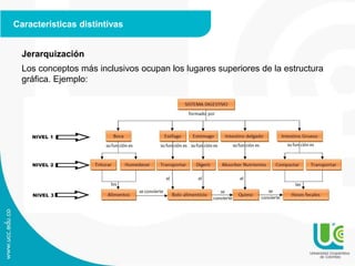 Características distintivas
Jerarquización
Los conceptos más inclusivos ocupan los lugares superiores de la estructura
gráfica. Ejemplo:
 