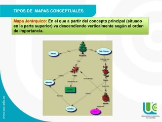 TIPOS DE MAPAS CONCEPTUALES
Mapa Jerárquico: En el que a partir del concepto principal (situado
en la parte superior) va descendiendo verticalmente según el orden
de importancia.
 