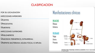 CLASIFICACION
POR SU LOCALIZACION
INFECCIONES INFERIORES
CISTITIS
PROSTATITIS
URETRITIS
INFECCIONES SUPERIORES
PIELONEFRITIS
ABCESOS PERINEFRICO, INTRARRENAL
NEFRITIS BACTERIANA AGUDA FOCAL O DIFUSA
 