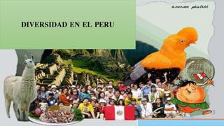 DIVERSIDAD EN EL PERU
 