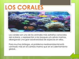 Los corales son uno de los animales más extraños conocidos
del océano, y representan a los bosques y/o selvas marinos,
albergando una gran biodiversidad de especias en ellos.
Para muchos biólogos, el problema medioambiental está
centrado más en el cambio marino que en el calentamiento
global..
 