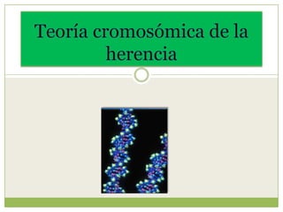 Teoría cromosómica de la herencia 