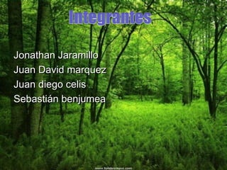 Jonathan Jaramillo
Juan David marquez
Juan diego celis
Sebastián benjumea
 