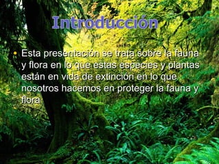 • Esta presentación se trata sobre la fauna
 y flora en lo que estas especies y plantas
 están en vida de extinción en lo que
 nosotros hacemos en proteger la fauna y
 flora
 