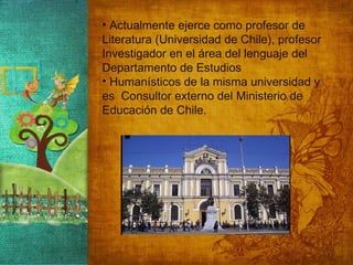Actualmente ejerce como profesor de Literatura (Universidad de Chile), profesor Investigador en el área del lenguaje del Departamento de Estudios Humanísticos de la misma universidad y es  Consultor externo del Ministerio de Educación de Chile. 