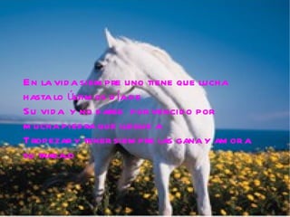 En la vida siempre uno tiene que lucha hasta lo últimos día de Su vida  y no darse  por vencido por mucha piedra que llegue a  Tropezar y tener siempre las gana y amor a su trabajo  