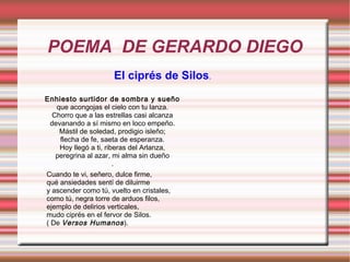 POEMA DE GERARDO DIEGO
Enhiesto surtidor de sombra y sueño
que acongojas el cielo con tu lanza.
Chorro que a las estrellas casi alcanza
devanando a sí mismo en loco empeño.
Mástil de soledad, prodigio isleño;
flecha de fe, saeta de esperanza.
Hoy llegó a ti, riberas del Arlanza,
peregrina al azar, mi alma sin dueño
.
El ciprés de Silos.
Cuando te vi, señero, dulce firme,
qué ansiedades sentí de diluirme
y ascender como tú, vuelto en cristales,
como tú, negra torre de arduos filos,
ejemplo de delirios verticales,
mudo ciprés en el fervor de Silos.
( De Versos Humanos).
 