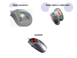 Ratón mecánico

Ratón óptico o ratón láser

trackball

 