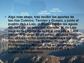 • Algo más abajo, tras recibir los aportes de
los ríos Culenco, Tavoleo y Guaqui, y junto al
pueblo de La Laja, el Biobío recibe las aguas
del río Laja, su principal afluente. El río Laja
nace en la Laguna de la Laja, ubicada a 1.400
msnm. A lo largo de su curso, de unos 140
Km, el Laja recibe como tributarios a los ríos
Trubunleo, Cipreses, El Toro, Polcura,
Pichipolcura y Manco . Tras un recorrido de
380 Km, el Biobío desemboca junto a la
ciudad de Concepción
 