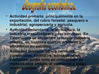 • Actividad primaria: principalmente en la
exportación, del rubro forestal, pesquero e
industrial, agropecuaria y agrícola.
• Actividad secundaria: la agricultura, la
industria manufacturera y los servicios. En
Talcahuano se encuentra la mayor industria
pesada, en cuanto a plantas artilleras y
afinadoras de petróleo.
• Actividad terciaria: ofrece servicios
comerciales, turísticos, educacionales,
sanitarios, sobre todo en concepción se
muestra este ámbito, el comercial y luego
vendría chillan.
 