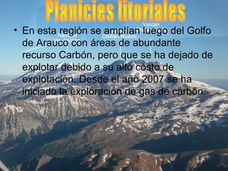• En esta región se amplían luego del Golfo
de Arauco con áreas de abundante
recurso Carbón, pero que se ha dejado de
explotar debido a su alto costo de
explotación. Desde el año 2007 se ha
iniciado la exploración de gas de carbón.
 