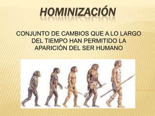 hominización CONJUNTO DE CAMBIOS QUE A LO LARGO DEL TIEMPO HAN PERMITIDO LA APARICIÓN DEL SER HUMANO 