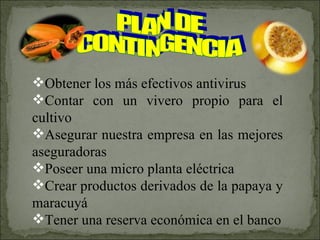 PLAN DE CONTINGENCIA Obtener los más efectivos antivirus  Contar con un vivero propio para el cultivo Asegurar nuestra empresa en las mejores aseguradoras Poseer una micro planta eléctrica Crear productos derivados de la papaya y maracuyá Tener una reserva económica en el banco 