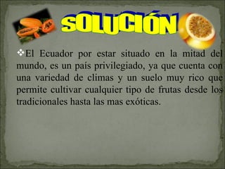 El Ecuador por estar situado en la mitad del mundo, es un país privilegiado, ya que cuenta con una variedad de climas y un suelo muy rico que permite cultivar cualquier tipo de frutas desde los tradicionales hasta las mas exóticas. sOLUCIÓN 