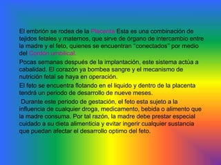 Los núcleos  de ambas células sexuales se unen, reintegrándose así el número de 46 cromosomas. La fecundación a quedado completa. A la entrada del espermatozoide, ocurre cambios  químicos  en la  membrana del ovulo, que impiden que otros       Espermatozoides que entren a él. El ovulo fecundado empieza su desarrollo, mientras continua avanzando por el oviducto  hacia el útero.DESARROLLO PRENATAL     Tras la fecundación el cigoto o huevo se divide  primero en una célula luego de (2) días (4 y 8)  al cuarto día ya se ha formado una masa  de células llamadas Mórula la cual se transforma  en un Embrión hacia 2 meses el embrión adquiere figura humana y recibe el nombre de Feto.El huevo fecundado  ha realizado su desplazamiento de tres a cuatro días por el oviducto, hasta finalmente llegar al útero. Durante los primeros días flota libremente en el Liquido intrauterino. Ese liquido es rico en nutrientes. Durante dicho tiempo, y gracias a la acción de las hormonas Estrógeno y Progesterona. Las paredes del útero son preparadas para recibir el huevo fecundado. Alrededor de siete días después de la ovulación, el huevo se implanta en el endometrio del útero.  