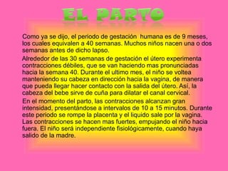      El embrión se rodea de la Placenta Esta es una combinación de tejidos fetales y maternos, que sirve de órgano de intercambio entre la madre y el feto, quienes se encuentran ‘‘conectados’’ por medio del Cordón umbilical.Pocas semanas después de la implantación, este sistema actúa a cabalidad. El corazón ya bombea sangre y el mecanismo de nutrición fetal se haya en operación.      El feto se encuentra flotando en el liquido y dentro de la placenta tendrá un periodo de desarrollo de nueve meses.      Durante este periodo de gestación, el feto esta sujeto a la influencia de cualquier droga, medicamento, bebida o alimento que la madre consuma. Por tal razón, la madre debe prestar especial cuidado a su dieta alimenticia y evitar ingerir cualquier sustancia que puedan afectar el desarrollo optimo del feto. 