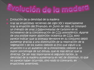 Evolución de la maderaEvolución de la densidad de la madera:tras las erupciones recientes del siglo XX y especialmente tras la erupción del Pinatubo, en Junio de 1991, se constató un frenazo de unas 2 Gigatoneladas de carbono en el incremento de la concentración de CO2 atmosférico. Aparte de una posible mayor absorción oceánica de CO2, esto parece indicar que la biomasa terrestre en su conjunto debió aumentar gracias a una disminución de la respiración de la vegetación y de los suelos (debido al frío que siguió a la erupción) o a un aumento de la fotosíntesis (debido a un mayor porcentaje de luz difusa, que es más eficaz que la directa). De ser más importante el segundo factor, la densidad de la madera aumentaría en vez de disminuir, lo que no parece haber ocurrido, sino todo lo contrario, en erupciones anteriores.