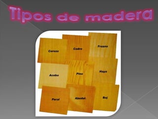 Tipos de madera