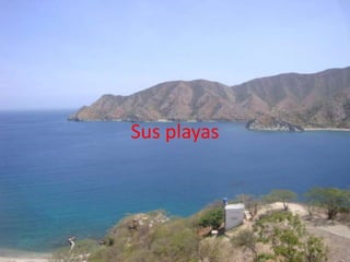 Sus playas