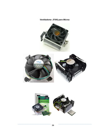 Ventiladores (FAN) para Micros




            30
 