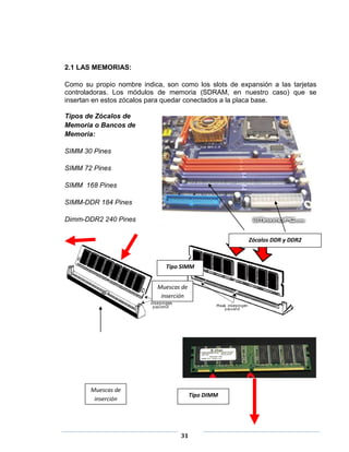 2.1 LAS MEMORIAS:

Como su propio nombre indica, son como los slots de expansión a las tarjetas
controladoras. Los módulos de memoria (SDRAM, en nuestro caso) que se
insertan en estos zócalos para quedar conectados a la placa base.

Tipos de Zócalos de
Memoria o Bancos de
Memoria:

SIMM 30 Pines

SIMM 72 Pines

SIMM 168 Pines

SIMM-DDR 184 Pines

Dimm-DDR2 240 Pines

                                                       Zócalos DDR y DDR2



                              Tipo SIMM


                            Muescas de
                             inserción




       Muescas de
                                         Tipo DIMM
        inserción




                                   31
 