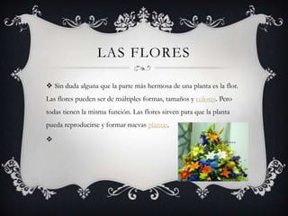 LAS FLORES

 Sin duda alguna que la parte más hermosa de una planta es la flor.
Las flores pueden ser de múltiples formas, tamaños y colores. Pero
todas tienen la misma función. Las flores sirven para que la planta
pueda reproducirse y formar nuevas plantas.


 