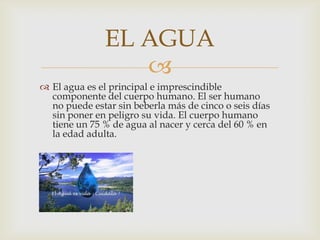 EL AGUA
                  
 El agua es el principal e imprescindible
  componente del cuerpo humano. El ser humano
  no puede estar sin beberla más de cinco o seis días
  sin poner en peligro su vida. El cuerpo humano
  tiene un 75 % de agua al nacer y cerca del 60 % en
  la edad adulta.
 