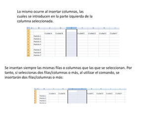 Lo mismo ocurre al insertar columnas, las
cuales se introducen en la parte izquierda de la
columna seleccionada.

Se insertan siempre las mismas filas o columnas que las que se seleccionan. Por
tanto, si seleccionas dos filas/columnas o más, al utilizar el comando, se
insertarán dos filas/columnas o más:

 