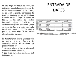 En una hoja de trabajo de Excel, los
datos son manejados generalmente de
forma individual dentro de cada celda,
no se escriben grandes cantidades de
texto o números en forma continua
como se hace con los procesadores de
textos. En las celdas se pueden
introducir
datos
numéricos
o
alfanuméricos (letras y números), esto
se logra de forma simple, pues solo
basta con escribir el tipo de dato y
pulsar la tecla Enter o las teclas
direccionales o cursoras.
Se debe tener en cuenta que cada tipo
de datos tiene un formato de
alineación dentro de las celdas ya
preestablecido así:
* Los datos alfanuméricos se alinean al
lado izquierdo de las celdas.
* Los datos numéricos se alinean del
lado derecho.

ENTRADA DE
DATOS

 