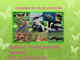 Animales en vía de extinción 
Nombre: Viviana marcela 
Barbosa 
901 jornada tarde 
 