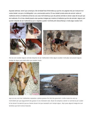Aquesta setmana tenim que començar a fer el treball final d'informàtica ja que fer cinc pagines tres per incloure-hi el
vostre treball, una per a la bibliografia i una, anomenada autor/a. El meu treball consta sobre els animal i sobre el
maltracte animal. el maltracte animal es una cosa molt dolenta ja que els pobres animals no tenen culpa de res per que
els maltractis. En el meu treball posaré unes quantes imatges per mostrar el maltracte que fan als animals i alguns com
queden després de ser maltractat ja que a vegades queden mal ferits,amb desconfiança o inclòs algun acaba mort.




Així es com acaben alguns animals després de ser maltractats inclòs alguns acaben molt pitjor ara posaré alguna
imatge de algun que acabi pitjor que acaben morts




aquí es veu com han maltractat a aquestos pobres gossos fins ferir-los greument i inclòs matar-los això es
molt dolent per que segurament els gossos no es mereixien això. Quan et compres o donen un animal es per cuidar-
lo be donar-li la atenció que es mereix donar-li el que necessiti com menjar aigua . Aquí poso alguna imatge de com
tendries que tenir la teva mascota
 