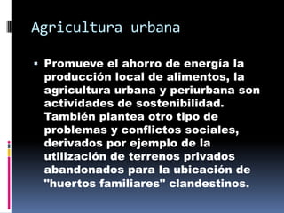 Agricultura urbana

 Promueve el ahorro de energía la
  producción local de alimentos, la
 agricultura urbana y periurbana son
 actividades de sostenibilidad.
 También plantea otro tipo de
 problemas y conflictos sociales,
 derivados por ejemplo de la
 utilización de terrenos privados
 abandonados para la ubicación de
 "huertos familiares" clandestinos.
 