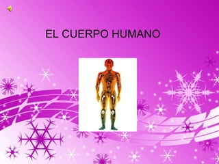 EL CUERPO HUMANO




                   Page 1
 