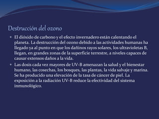 Destrucción del ozono
 El dióxido de carbono y el efecto invernadero están calentando el
planeta. La destrucción del ozono debido a las actividades humanas ha
llegado ya al punto en que los dañinos rayos solares, los ultravioletas B,
llegan, en grandes zonas de la superficie terrestre, a niveles capaces de
causar extensos daños a la vida.
 Las dosis cada vez mayores de UV-B amenazan la salud y el bienestar
humano, las cosechas, los bosques, las plantas, la vida salvaje y marina.
Se ha producido una elevación de la tasa de cáncer de piel. La
exposición a la radiación UV-B reduce la efectividad del sistema
inmunológico.
 