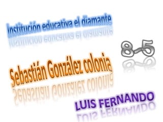 Institución educativa el diamante  8-5 Sebastián González colonia Luis Fernando  