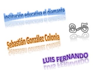 Institución educativa el diamante  8-5 Sebastián González Colonia  Luis Fernando  