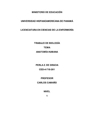 MINISTERIO DE EDUCACIÓN
UNIVERSIDAD HISPANOAMERICANA DE PANAMÁ
LICENCIATURA EN CIENCIAS DE LA ENFERMERÍA
TRABAJO DE BIOLOGÍA
TEMA
ANATOMÍA HUMANA
PERLA Z. DE GRACIA
CED-4-718-261
PROFESOR
CARLOS CAMAÑO
NIVEL
1
 