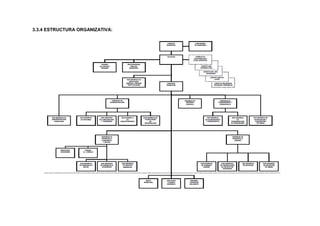 3.3.4 ESTRUCTURA ORGANIZATIVA:
 