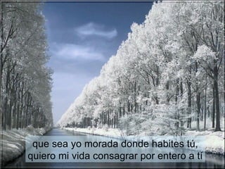 que sea yo morada donde habites tú, quiero mi vida consagrar por entero a tí 