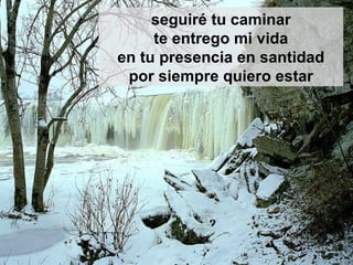 seguiré tu caminar te entrego mi vida en tu presencia en santidad por siempre quiero estar 