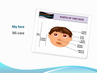 My face
Mi cara
 