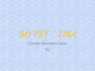 MY PET TINA
Claudia Montaño Salas
5C
 
