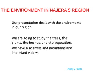 THE ENVIRONMENT IN NÁJERA’S REGION
Our presentation deals with the enviroments
in our region.
We are going to study the trees, the
plants, the bushes, and the vegetation.
We have also rivers and mountains and
important valleys.

Asier y Pablo

 