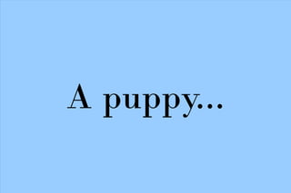 A puppy...
 