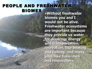 PEOPLE AND FRESHWATER   BIOMES   Without freshwater biomes you and I would not be alive. Freshwater ecosystems are important because they provide us water for drinking; energy and transportation; recreation, like boating and fishing; and many jobs, like fishermen and researchers.   