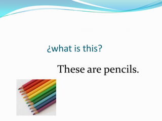 ¿what is this?

  These are pencils.
 