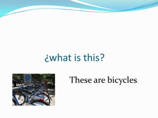 ¿what is this?
     These are bicycles.
 